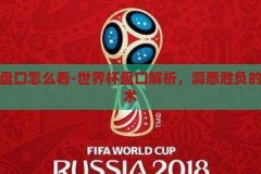 世界杯盘口怎么看-世界杯盘口解析，洞悉胜负的微妙艺术，洞悉胜负的微妙艺术，世界杯盘口解析指南