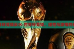 世界杯竞猜反水-世界杯竞猜，理性与激情的碰撞，世界杯竞猜，理性与激情的激情碰撞