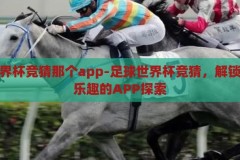 足球世界杯竞猜那个app-足球世界杯竞猜，解锁观赛新乐趣的APP探索，解锁观赛新乐趣，足球世界杯竞猜APP的探索之旅