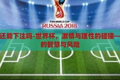 世界杯还能下注吗-世界杯，激情与理性的碰撞——下注的智慧与风险，世界杯，激情与理性的碰撞——下注的智慧与风险