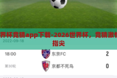 2026世界杯竞猜app下载-2026世界杯，竞猜激情，尽在指尖，2026世界杯竞猜APP，指尖上的足球激情