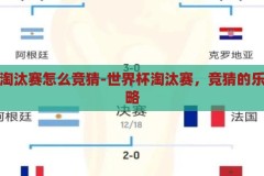 世界杯淘汰赛怎么竞猜-世界杯淘汰赛，竞猜的乐趣与策略，世界杯淘汰赛，竞猜的乐趣与策略