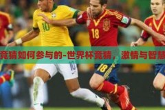 世界杯竞猜如何参与的-世界杯竞猜，激情与智慧的碰撞，世界杯竞猜，激情与智慧的碰撞，如何参与其中？