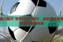世界杯盘口图片-世界杯盘口图片，透视足球赛事的精彩瞬间与策略布局，透视足球赛事，世界杯盘口图片揭秘精彩瞬间与策略布局