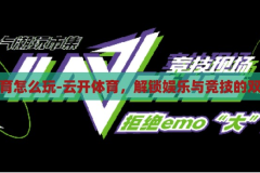 云开体育怎么玩-云开体育，解锁娱乐与竞技的双重乐趣，解锁娱乐与竞技的双重乐趣，云开体育的玩法指南