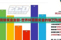 世界杯竞猜奖金金额-世界杯竞猜奖金的魅力与规则解析，世界杯竞猜奖金的魅力与规则解析，揭秘足球盛宴的财富诱惑