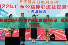世界杯冠军竞猜彩票-世界杯冠军竞猜彩票，激情与智慧的碰撞，激情与智慧的碰撞，世界杯冠军竞猜彩票