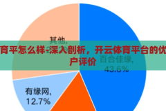 开云体育平怎么样-深入剖析，开云体育平台的优劣与用户评价，开云体育平台，深度剖析其优劣与用户评价
