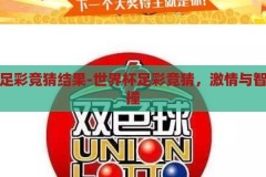 世界杯足彩竞猜结果-世界杯足彩竞猜，激情与智慧的碰撞，世界杯足彩竞猜，激情与智慧的碰撞