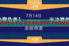 手机世界杯怎么下注-探索手机世界杯下注的智慧与策略，手机世界杯下注，探索智慧与策略的竞技场