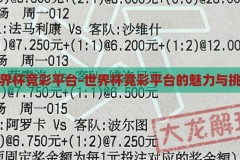 世界杯竞彩平台-世界杯竞彩平台的魅力与挑战，世界杯竞彩平台的魅力与挑战，一场全球体育迷的盛宴