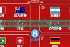 世界杯竞猜16强-世界杯竞猜16强，激情与智慧的碰撞，激情与智慧的碰撞，世界杯竞猜16强