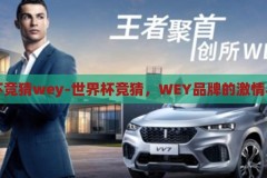 世界杯竞猜wey-世界杯竞猜，WEY品牌的激情与预测，WEY品牌与世界杯竞猜，激情与预测的碰撞