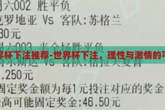 世界杯下注推荐-世界杯下注，理性与激情的平衡，理性与激情的平衡，世界杯下注的智慧推荐