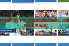 世界杯在哪里可以下注-世界杯观赛新体验，合法安全地享受下注乐趣，合法安全下注，解锁世界杯观赛新体验