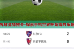 手机世界杯竞猜推介-探索手机世界杯竞猜的乐趣与魅力，手机世界杯竞猜，解锁足球盛宴的趣味与魅力