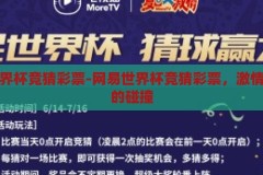 网易世界杯竞猜彩票-网易世界杯竞猜彩票，激情与智慧的碰撞，网易世界杯竞猜彩票，激情与智慧的碰撞