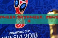 竞猜世界杯冠亚军-竞猜世界杯冠亚军，激情与智慧的碰撞，激情与智慧的碰撞，竞猜世界杯冠亚军
