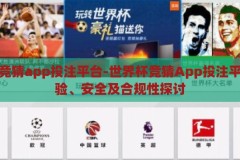 世界杯竞猜app投注平台-世界杯竞猜App投注平台，体验、安全及合规性探讨，世界杯竞猜App投注平台，体验、安全及合规性全解析