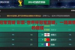 世界杯冠军竞猜 彩票-世界杯冠军竞猜，一场激情与智慧的碰撞，激情与智慧的碰撞，世界杯冠军竞猜彩票