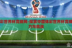 中国体彩世界杯竞猜网-探索中国体彩世界杯竞猜网的魅力与挑战，中国体彩世界杯竞猜网，魅力与挑战的双重探索