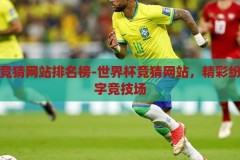世界杯竞猜网站排名榜-世界杯竞猜网站，精彩纷呈的数字竞技场，数字竞技场，揭秘世界杯竞猜网站排名榜