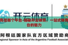 开云体育是哪个平台-揭秘开云体育，一站式体育娱乐平台的魅力，揭秘开云体育，一站式体育娱乐平台的魅力