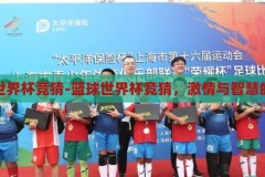 篮球世界杯竞猜-篮球世界杯竞猜，激情与智慧的碰撞，篮球世界杯竞猜，激情与智慧的智慧碰撞