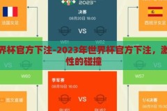 本届世界杯官方下注-2023年世界杯官方下注，激情与理性的碰撞，2023年世界杯官方下注，激情与理性的碰撞