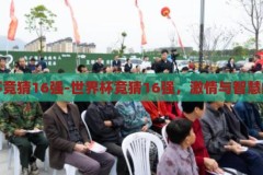 世界杯竞猜16强-世界杯竞猜16强，激情与智慧的碰撞，激情与智慧的碰撞，世界杯竞猜16强