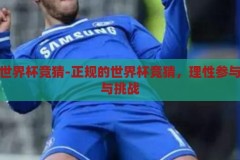 正规的世界杯竞猜-正规的世界杯竞猜，理性参与的乐趣与挑战，理性参与的乐趣与挑战，正规世界杯竞猜的魅力