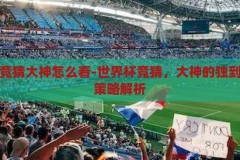 世界杯竞猜大神怎么看-世界杯竞猜，大神的独到视角与策略解析，世界杯竞猜，大神的独到视角与策略解析