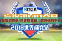 世界杯竞猜胜其他-世界杯竞猜，胜其他的不只是胜负，揭秘世界杯竞猜，胜其他的无限可能