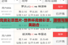 世界杯竞猜彩票图片-世界杯竞猜彩票，激情与策略的完美融合，激情与策略的碰撞，世界杯竞猜彩票的魅力