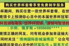 世界杯竞猜在哪买-世界杯竞猜，激情与智慧的碰撞，世界杯竞猜，激情与智慧的碰撞，尽在何处？