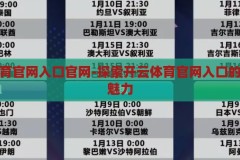 开云体育官网入口官网-探索开云体育官网入口的便捷与魅力，解锁便捷与魅力，开云体育官网入口的探索之旅