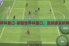 德国世界杯盘口-德国世界杯盘口，足球盛宴的精彩注解，德国世界杯盘口，足球盛宴的精彩注解
