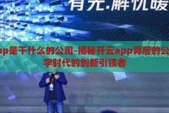 开云app是干什么的公司-揭秘开云app背后的公司，数字时代的创新引领者，揭秘开云app背后的公司，数字时代的创新引领者