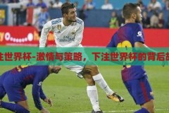下注世界杯-激情与策略，下注世界杯的背后故事，世界杯下注，激情与策略的背后故事