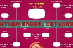 世界杯下注推荐-世界杯赛事，理性下注的智慧指南，理性下注的智慧，世界杯赛事的稳健投注指南