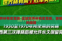 足球世界杯有奖竞猜-足球世界杯有奖竞猜，激情与智慧的碰撞，足球世界杯有奖竞猜，激情与智慧的碰撞