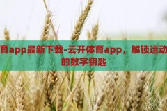 云开体育app最新下载-云开体育app，解锁运动新体验的数字钥匙，解锁运动新体验，云开体育app最新下载