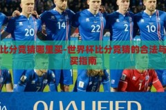 世界杯比分竞猜哪里买-世界杯比分竞猜的合法与安全购买指南，安全合法购买世界杯比分竞猜指南，如何选择正规渠道