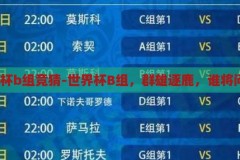 世界杯b组竞猜-世界杯B组，群雄逐鹿，谁将问鼎？群雄逐鹿，B组问鼎，揭秘世界杯B组竞猜