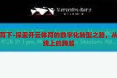 开云体育下-探索开云体育的数字化转型之路，从线下到线上的跨越，开云体育，从线下到线上的数字化转型之路探索