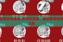世界杯竞猜名单查询-世界杯竞猜，解锁赛事预测的奇妙之旅，解锁赛事预测的奇妙之旅，世界杯竞猜名单查询指南