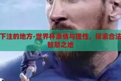 世界杯下注的地方-世界杯激情与理性，探索合法下注的智慧之地，世界杯激情与理性，探索合法下注的智慧之地