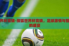 搜狐世界杯竞猜-搜狐世界杯竞猜，足球激情与智慧碰撞的盛宴，搜狐世界杯竞猜，足球激情与智慧碰撞的盛宴