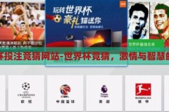 世界杯投注竞猜网站-世界杯竞猜，激情与智慧的碰撞，激情与智慧的碰撞，世界杯投注竞猜网站