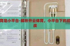 开云体育是小平台-解析开云体育，小平台下的机遇与挑战，开云体育，小平台下的机遇与挑战解析